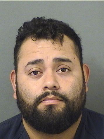  JIMMIN CALVILLO Results from Palm Beach County Florida for  JIMMIN CALVILLO