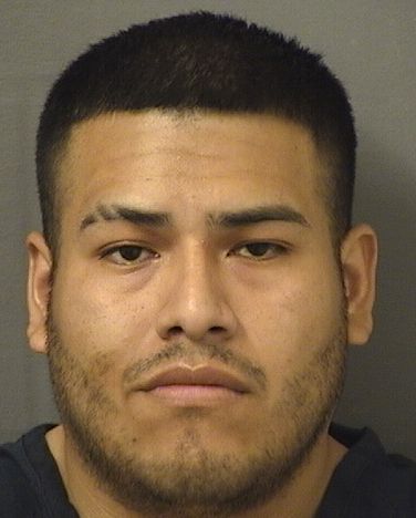  LUIS ENRIQUE CORDOVACABRERA Results from Palm Beach County Florida for  LUIS ENRIQUE CORDOVACABRERA