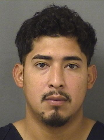  LUIS R FERNANDEZARANA Resultados de la busqueda para Palm Beach County Florida para  LUIS R FERNANDEZARANA