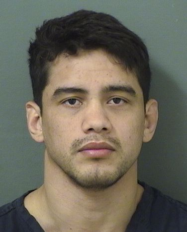  BRUNO VIEIRABARBOSA Resultados de la busqueda para Palm Beach County Florida para  BRUNO VIEIRABARBOSA