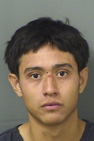  ANDERSON ORELLANA Results from Palm Beach County Florida for  ANDERSON ORELLANA