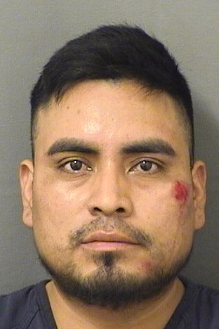 LEONIDAS VINICIO MORALESRAMOS resultados de la busqueda para Palm Beach County Florida para LEONIDAS VINICIO MORALESRAMOS LEONIDAS VINICIO MORALESRAMOS Resultados de la busqueda para Palm Beach County Florida para LEONIDAS VINICIO MORALESRAMOS