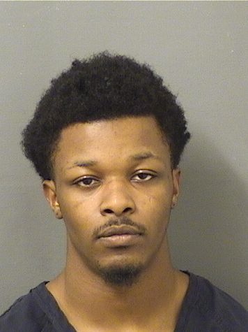  TYLER GRANT TERRY Photo For  TYLER GRANT TERRY