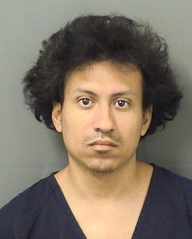  KEVIN EDUARDO MOREJON Results from Palm Beach County Florida for  KEVIN EDUARDO MOREJON