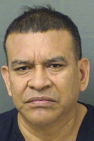  VICTOR L PEREZ Results from Palm Beach County Florida for  VICTOR L PEREZ