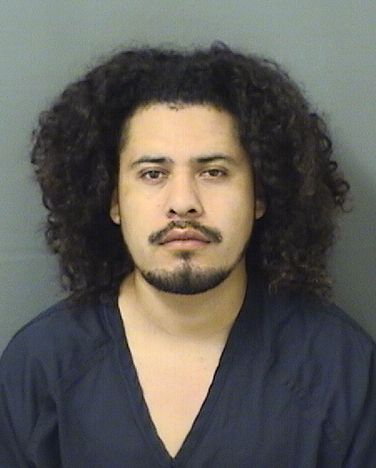  CESAR EDILBER ALVARUIZ Results from Palm Beach County Florida for  CESAR EDILBER ALVARUIZ