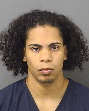  ANDRE NASIM ANAIS Resultados de la busqueda para Palm Beach County Florida para  ANDRE NASIM ANAIS