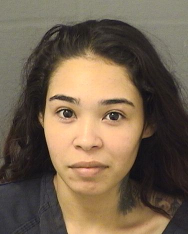  MICHELLE A RAMIREZ Results from Palm Beach County Florida for  MICHELLE A RAMIREZ