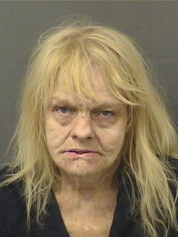  LISA CRAMER Results from Palm Beach County Florida for  LISA CRAMER