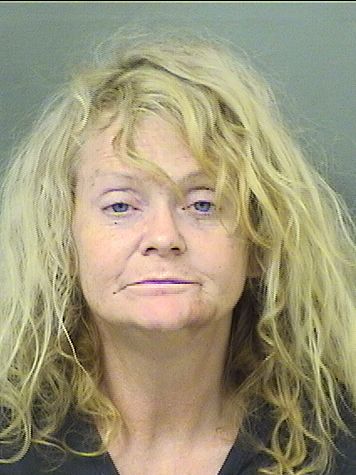  LAURA RIZZI Results from Palm Beach County Florida for  LAURA RIZZI