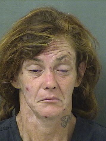  JESSECA ANN LYON Results from Palm Beach County Florida for  JESSECA ANN LYON