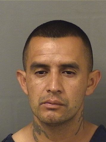  PEDRO ANTONIO UMANZOR Resultados de la busqueda para Palm Beach County Florida para  PEDRO ANTONIO UMANZOR