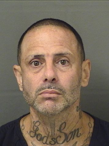 ANTHONY PAGLIARELLA Photos For  ANTHONY PAGLIARELLA  ANTHONY PAGLIARELLA Photo For  ANTHONY PAGLIARELLA