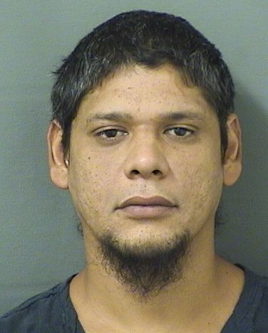 JULIAN BAZAN Results from Palm Beach County Florida for JULIAN BAZAN JULIAN BAZAN Results from Palm Beach County Florida for JULIAN BAZAN