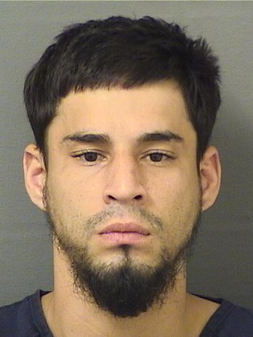  JUAN DIEGO GARCESGARZON Results from Palm Beach County Florida for  JUAN DIEGO GARCESGARZON