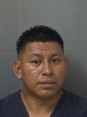  MIGUEL MARGARITO ANDRES Resultados de la busqueda para Palm Beach County Florida para  MIGUEL MARGARITO ANDRES