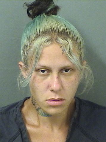  SARAH NICOLE PERRY Results from Palm Beach County Florida for  SARAH NICOLE PERRY