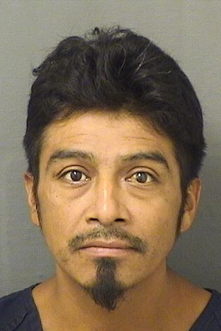  FRANCISCO MATEO Photo For  FRANCISCO MATEO