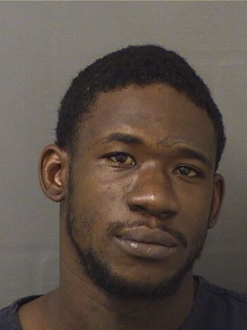  DIANTE AHMAD ROBINSON Results from Palm Beach County Florida for  DIANTE AHMAD ROBINSON