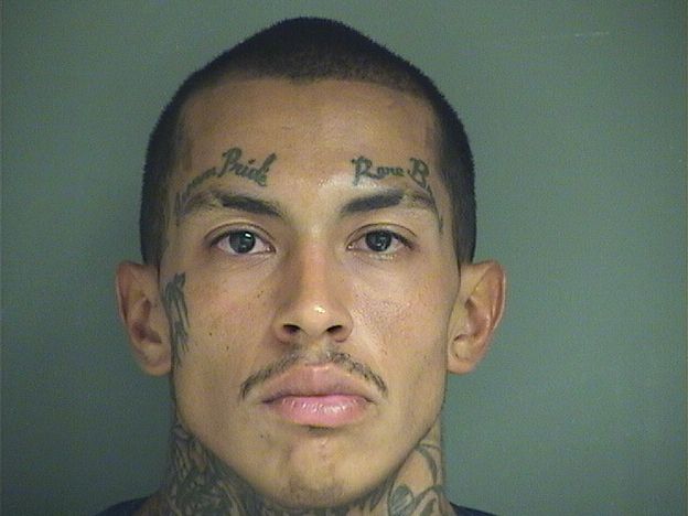  RICARDO DAVID CARTER Results from Palm Beach County Florida for  RICARDO DAVID CARTER