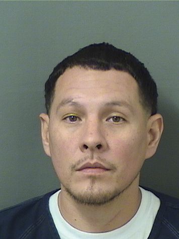  RONALD A ANGELGARCIA Results from Palm Beach County Florida for  RONALD A ANGELGARCIA