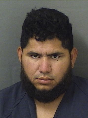  BRYAN GUSTAVO CASTANEDAMEDINA Results from Palm Beach County Florida for  BRYAN GUSTAVO CASTANEDAMEDINA