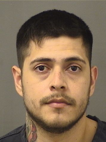  MARIO VASQUEZGOMEZ Resultados de la busqueda para Palm Beach County Florida para  MARIO VASQUEZGOMEZ