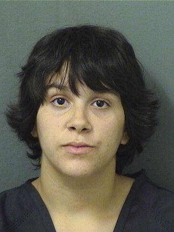  CAILA CARMEN CONCEPCION Results from Palm Beach County Florida for  CAILA CARMEN CONCEPCION