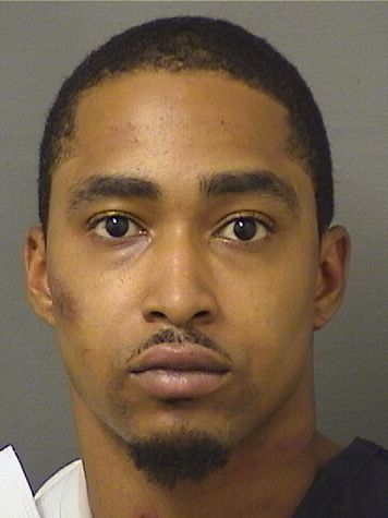  VINCENT ANDREW BELL Results from Palm Beach County Florida for  VINCENT ANDREW BELL