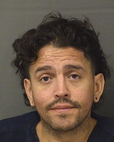  SHAWN J BRICK Results from Palm Beach County Florida for  SHAWN J BRICK