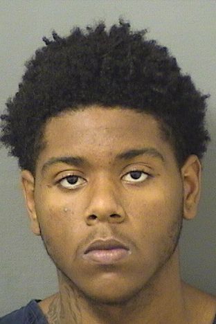  CHASE EMANUEL DAVIS Results from Palm Beach County Florida for  CHASE EMANUEL DAVIS