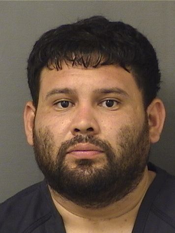  JOSE VLADIMIRBONILLA VILLATORO Results from Palm Beach County Florida for  JOSE VLADIMIRBONILLA VILLATORO