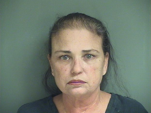  HEATHER LYNN HOFFMAN Results from Palm Beach County Florida for  HEATHER LYNN HOFFMAN