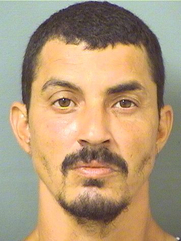  NICHOLAS L AVARIANO Photo For  NICHOLAS L AVARIANO