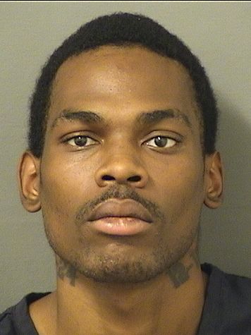  DANIEL VANHORN Results from Palm Beach County Florida for  DANIEL VANHORN