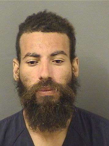  HUGH ALEXANDER OKOYE Results from Palm Beach County Florida for  HUGH ALEXANDER OKOYE