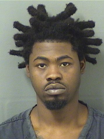  HENSON H PIERRE Results from Palm Beach County Florida for  HENSON H PIERRE