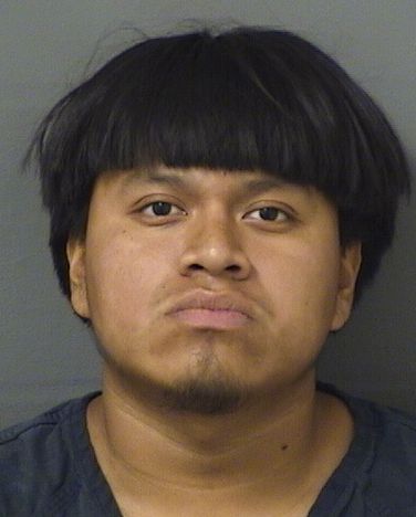  RONALDO GUSTAVO GABRIELRAMIREZ Results from Palm Beach County Florida for  RONALDO GUSTAVO GABRIELRAMIREZ