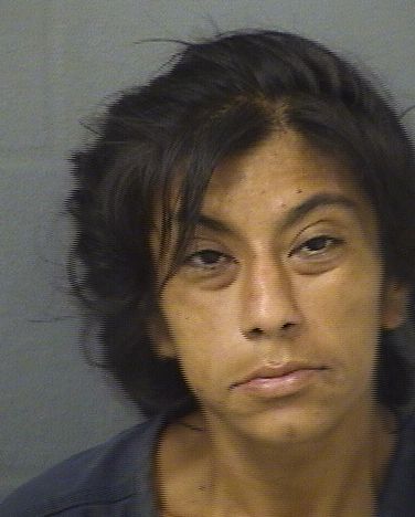  JACQUELINE CRISTINE NEBULONI Results from Palm Beach County Florida for  JACQUELINE CRISTINE NEBULONI