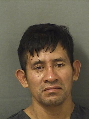 ANGEL MENDEZRUIZ Photos For  ANGEL MENDEZRUIZ  ANGEL MENDEZRUIZ Photo For  ANGEL MENDEZRUIZ