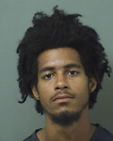  TYJAYE DECHEAUXN JACKSON Results from Palm Beach County Florida for  TYJAYE DECHEAUXN JACKSON