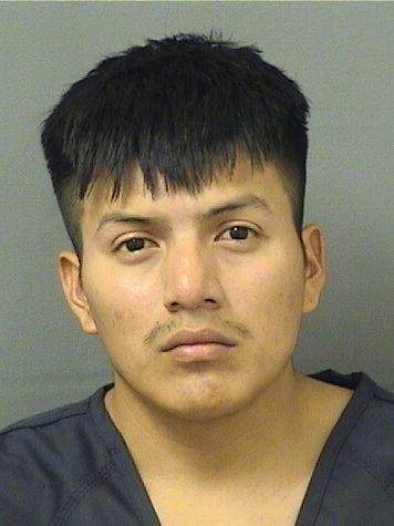  ALDOFO PEREZSANTOS Results from Palm Beach County Florida for  ALDOFO PEREZSANTOS