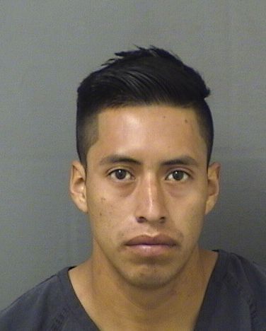  GERALDO LEONARDO MORALESORTIZ Results from Palm Beach County Florida for  GERALDO LEONARDO MORALESORTIZ