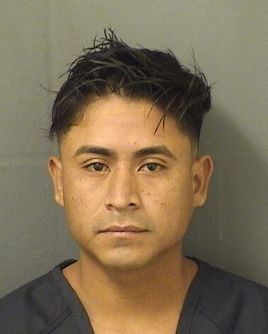  WALTER VICENTECHAVEZ Results from Palm Beach County Florida for  WALTER VICENTECHAVEZ
