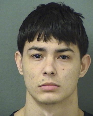  OVIDIO MIGUEL OCAMPOPORTELLES Results from Palm Beach County Florida for  OVIDIO MIGUEL OCAMPOPORTELLES