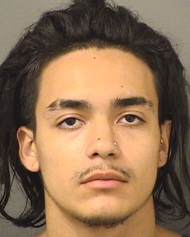  DANIEL PORRASRODRIGUEZ Results from Palm Beach County Florida for  DANIEL PORRASRODRIGUEZ