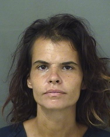 ASHLEY MARIE DAGOSTINO Results from Palm Beach County Florida for ASHLEY MARIE DAGOSTINO ASHLEY MARIE DAGOSTINO Results from Palm Beach County Florida for ASHLEY MARIE DAGOSTINO