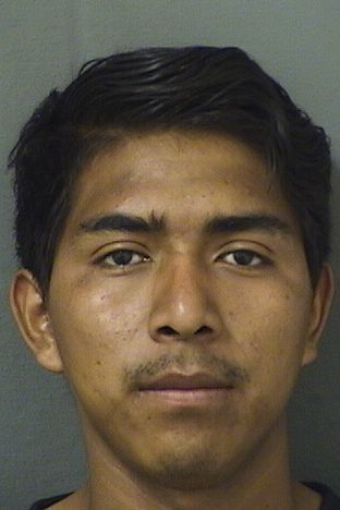  JUAN F ORTIZORDONEZ Results from Palm Beach County Florida for  JUAN F ORTIZORDONEZ