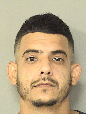  JOSE M JARDONFEBELS Results from Palm Beach County Florida for  JOSE M JARDONFEBELS