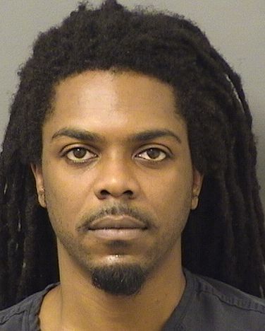  LESLY GUILLAUME Results from Palm Beach County Florida for  LESLY GUILLAUME